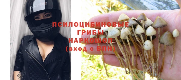 индика Арсеньев