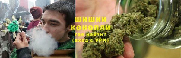 индика Армянск