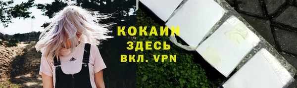 индика Арсеньев
