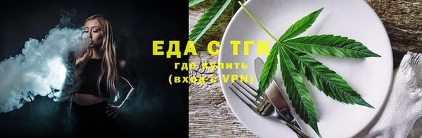 индика Арсеньев