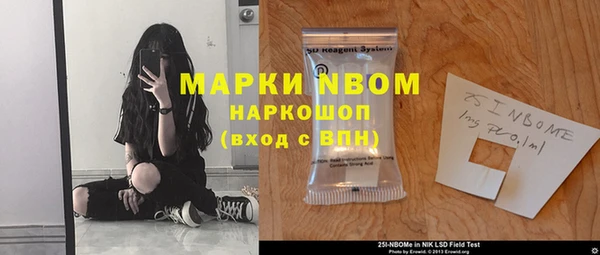 индика Арсеньев