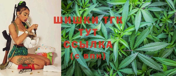 индика Арсеньев