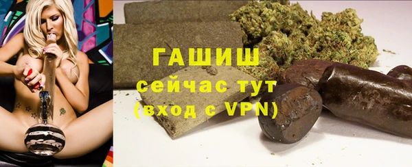 индика Арсеньев