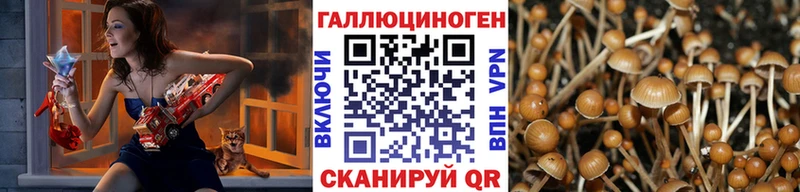 как найти закладки  Бирюсинск  Галлюциногенные грибы Magic Shrooms 
